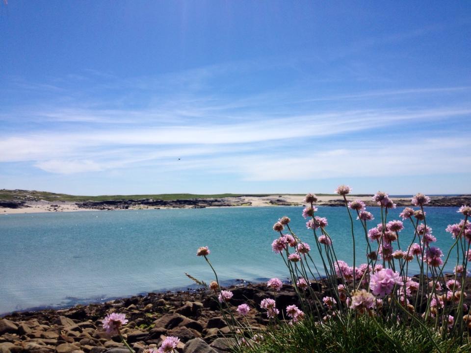 Dolphin Beach House Hotell Clifden Exteriör bild