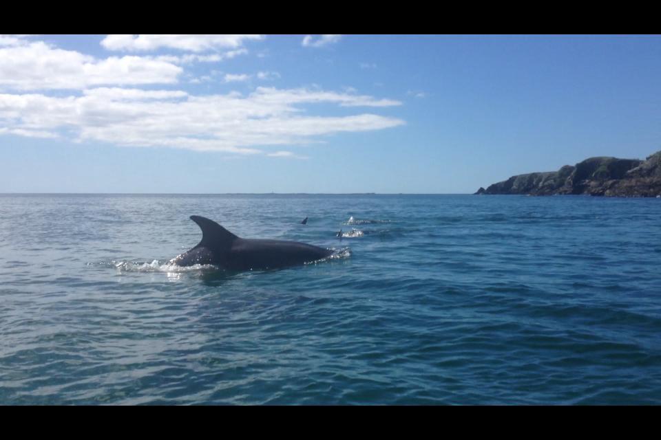 Dolphin Beach House Hotell Clifden Exteriör bild