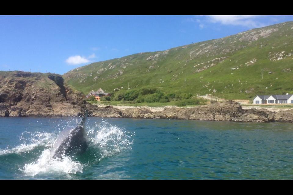 Dolphin Beach House Hotell Clifden Exteriör bild