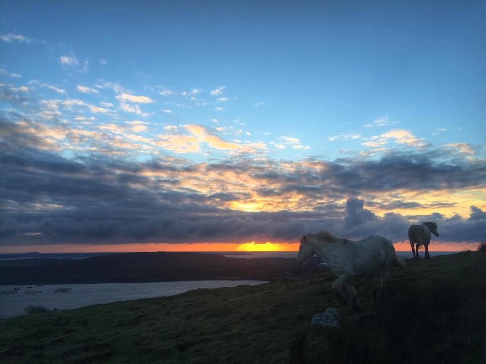 Dolphin Beach House Hotell Clifden Exteriör bild